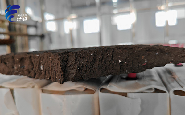 青島仕駿-污泥調(diào)理劑,污泥脫水增效劑制造商