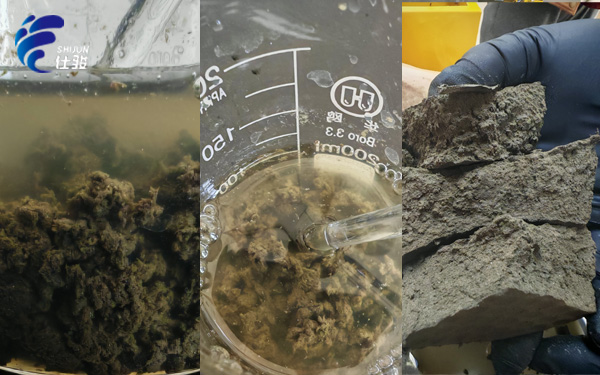 青島仕駿-污泥調(diào)理劑,污泥脫水增效劑制造商 青島仕駿-污泥調(diào)理劑,污泥脫水增效劑制造商