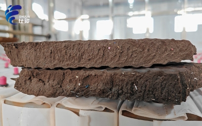 污泥增效劑與傳統(tǒng)污泥處理方法的對(duì)比-青島仕駿