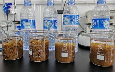 污泥脫水選對藥劑很關鍵,污泥增效劑助您高效處理-青島仕駿