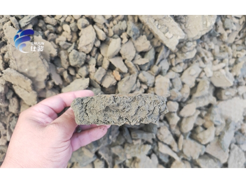 河南某紙業污水廠污泥脫水案例分享-青島仕駿