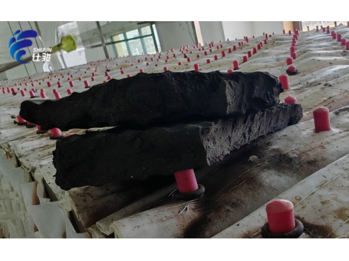 污泥增效劑在醫(yī)藥污泥深度脫水領(lǐng)域的出色表現(xiàn)-青島仕駿