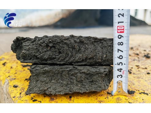 造紙污泥深度脫水:提高進泥量,實現泥餅自行脫落-青島仕駿